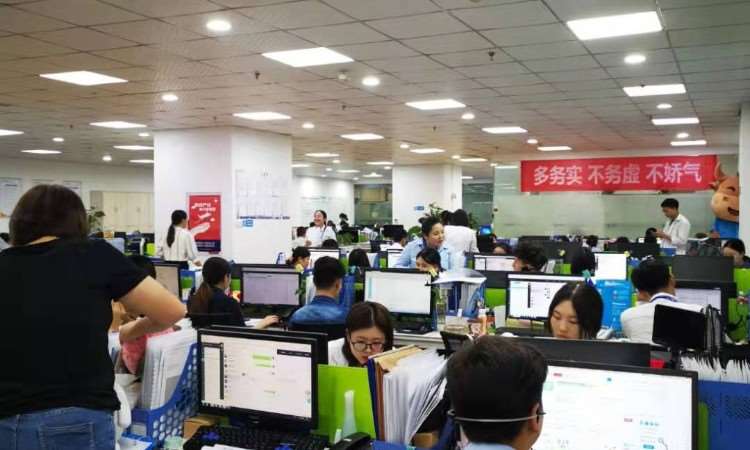 重慶憨牛教育信息咨詢 助力學子實現夢想的專業導航